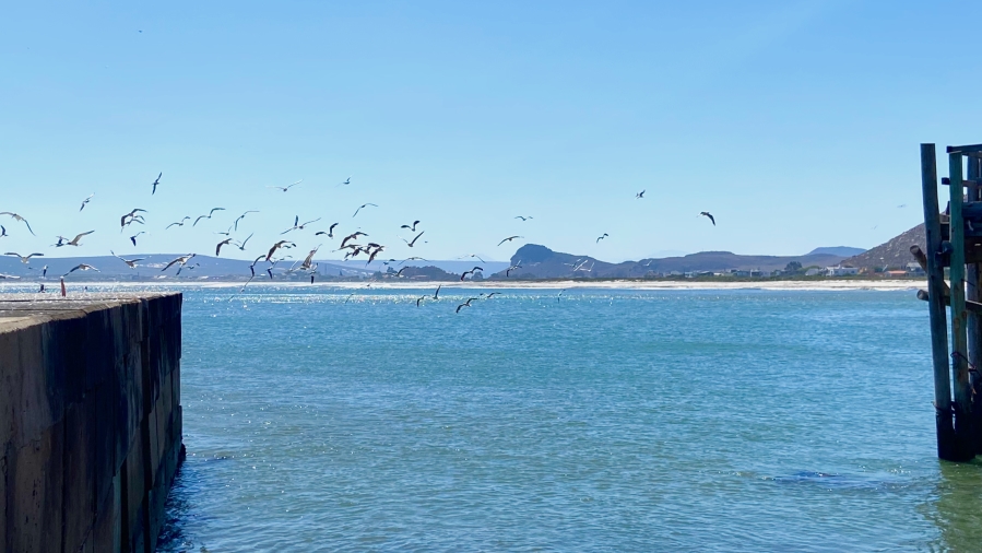 6 Bedroom Property for Sale in Elands Bay Western Cape